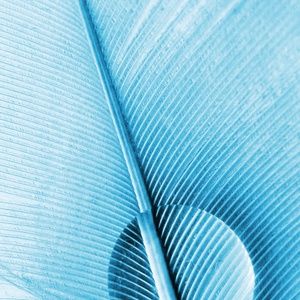 Meet your Posher, Arpita